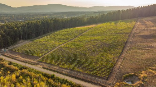 Sl1 North Rd, Duncan, BC 