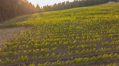 Sl1 North Rd, Duncan, BC 