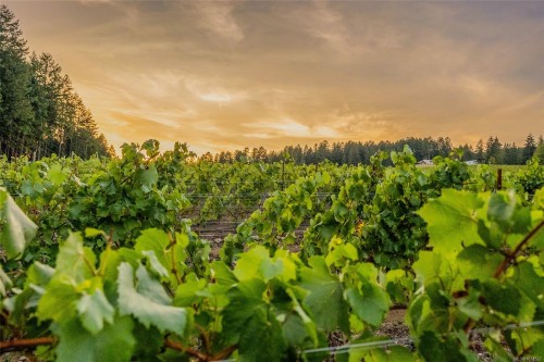 Sl1 North Rd, Duncan, BC 