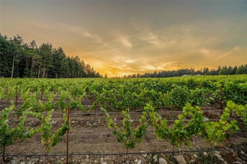 Sl1 North Rd, Duncan, BC 