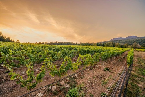 Sl1 North Rd, Duncan, BC 