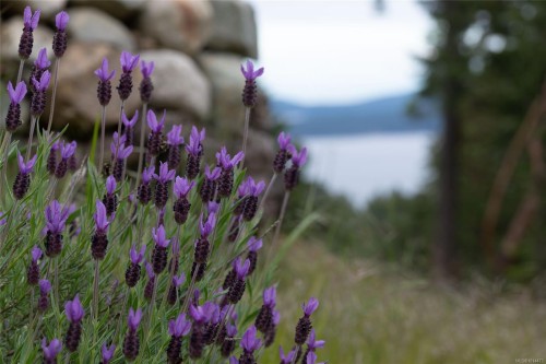 155 Liberty Hall Lane, Salt Spring, BC 