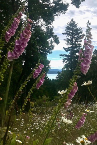 155 Liberty Hall Lane, Salt Spring, BC 