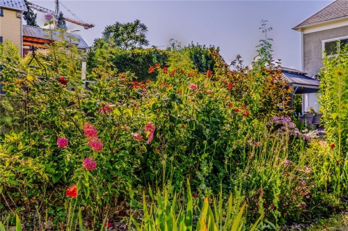 377 Milton St, Nanaimo, BC 