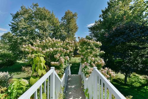 Backyard - 40 Rue Masson, Saint-Roch-De-L'Achigan, QC - Outdoor