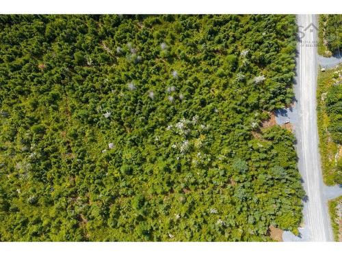 Lot 6 Birchwood Lane, Ostrea Lake, NS 