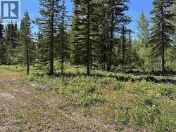 LOT 33 KATCHMAR ROAD  Lone Butte, BC V0K 1X3