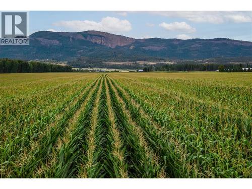 40 Mathews Road, Enderby, BC 