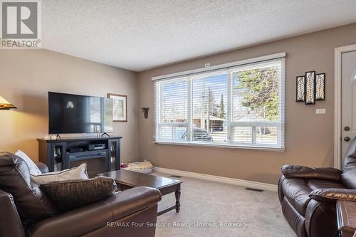 46 Erie Street, Collingwood, ON - Indoor Photo Showing Living Room
