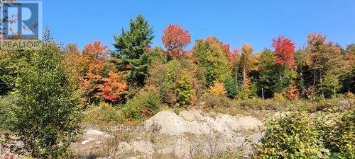 first view of gravel pit - Pt Lt 147 Con A Lount Rye Rye Road, South River, ON 