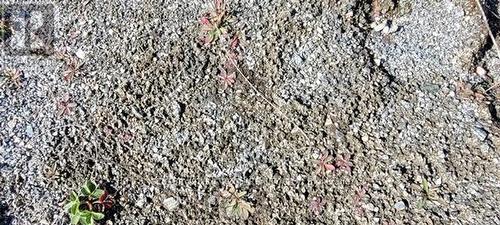 granite rocks - Pt Lt 147 Con A Lount Rye Rye Road, South River, ON 