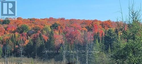 view of forest - Pt Lt 147 Con A Lount Rye Rye Road, South River, ON 