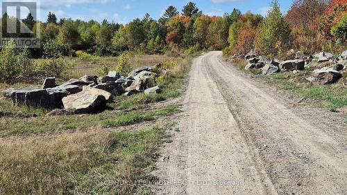 Pt Lt 147 Con A Lount Rye Rye Road, South River, ON 