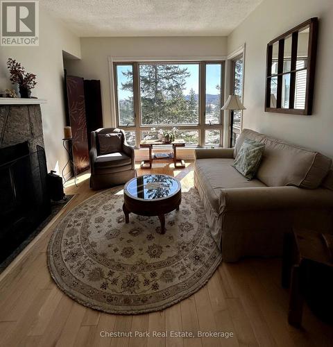5 - 3421 Grandview Forest Glen Drive, Huntsville (Chaffey), ON - Indoor Photo Showing Living Room With Fireplace