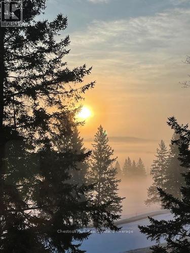 5 - 3421 Grandview Forest Glen Drive, Huntsville (Chaffey), ON - Outdoor With Body Of Water With View