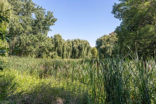 Autre - 219 Rue De La Noue, Montréal (Verdun/Île-Des-Soeurs), QC 