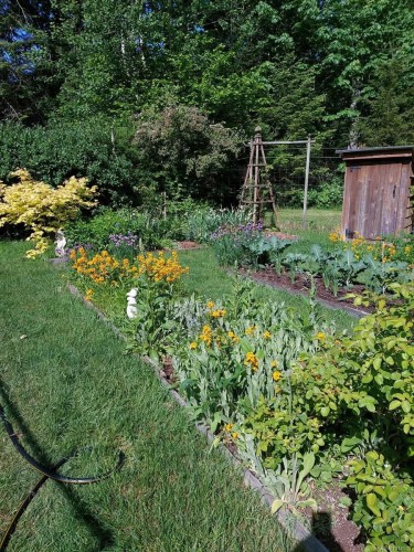 5910 Sea Terrace Rd, Courtenay, BC 