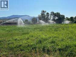 205 GREASEWOOD Avenue  Oliver, BC V0H 1T1