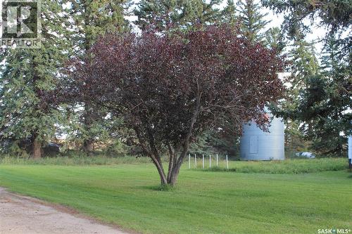 Vaughters Acreage, Willow Creek Rm No. 458, SK - Outdoor