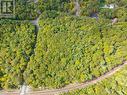 Lot 17 Oakridge Road N, Mcdougall, ON 