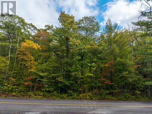 Lot 17 Oakridge Road N, Mcdougall, ON 