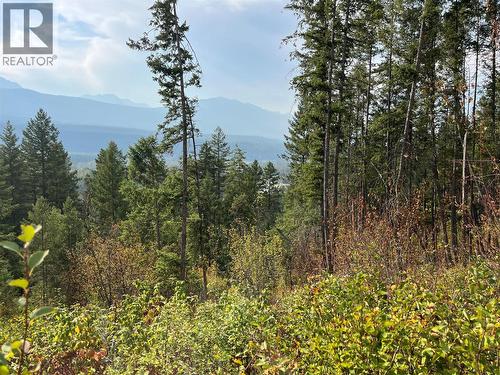 842 Almberg Road Unit# Remainder Lot# Lot, Golden, BC 