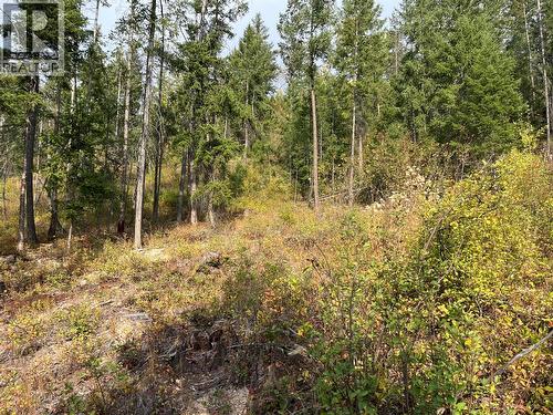 842 Almberg Road Unit# Remainder Lot# Lot, Golden, BC 
