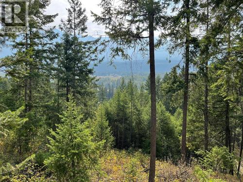 842 Almberg Road Unit# Remainder Lot# Lot, Golden, BC 