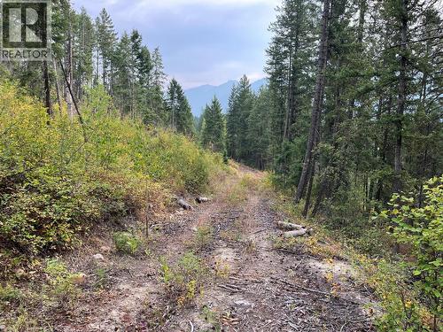 842 Almberg Road Unit# Remainder Lot# Lot, Golden, BC 