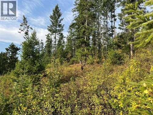842 Almberg Road Unit# Remainder Lot# Lot, Golden, BC 
