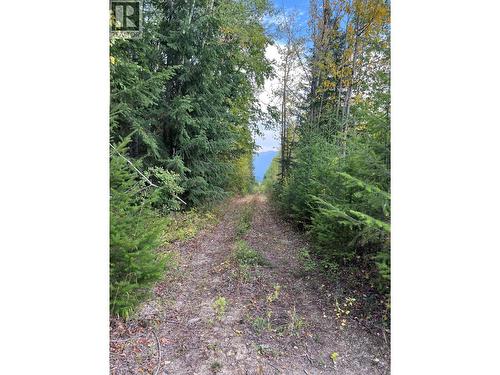 842 Almberg Road Unit# Remainder Lot# Lot, Golden, BC 
