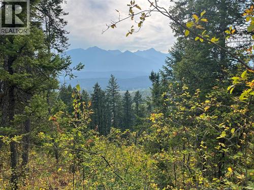 842 Almberg Road Unit# Remainder Lot# Lot, Golden, BC 