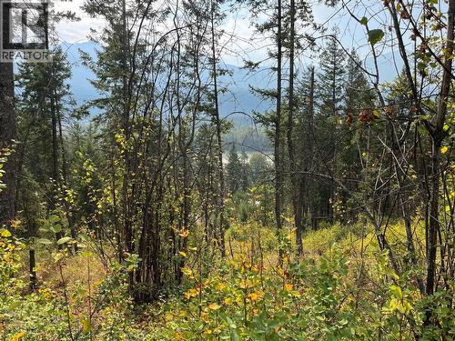 842 Almberg Road Unit# Remainder Lot# Lot, Golden, BC 