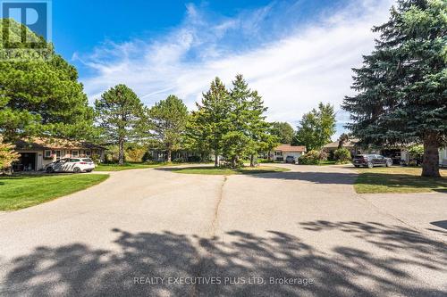 3 Hickory Court, New Tecumseth, ON - Outdoor