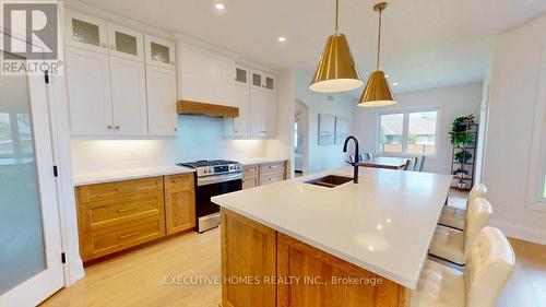 214 Irishwood Lane, Brockton, ON - Indoor Photo Showing Kitchen With Upgraded Kitchen