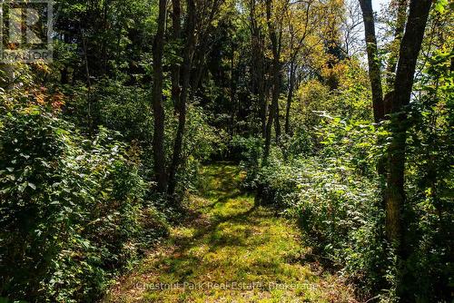 00 Deer Lake Road, Perry (Emsdale), ON 