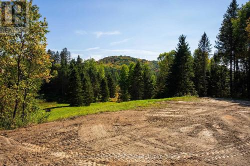 00 Deer Lake Road, Perry (Emsdale), ON 