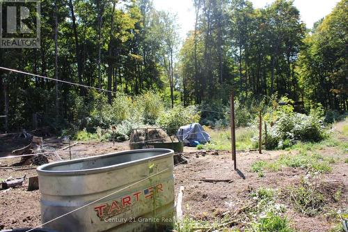 1295 Binscarth Trail, Dysart Et Al (Guilford), ON - Outdoor