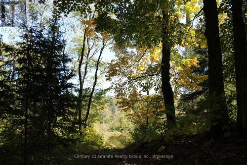 1295 Binscarth Trail, Dysart Et Al (Guilford), ON - Outdoor