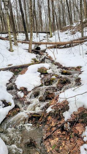1295 Binscarth Trail, Dysart Et Al (Guilford), ON - Outdoor With View