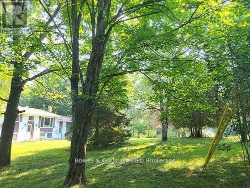 109 Quarry Road, Bancroft (Dungannon Ward), ON - Outdoor