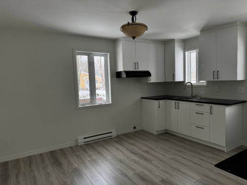Kitchen - 81 21E Avenue, Sainte-Anne-De-Sabrevois, QC - Indoor Photo Showing Kitchen