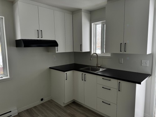 Kitchen - 81 21E Avenue, Sainte-Anne-De-Sabrevois, QC - Indoor Photo Showing Kitchen With Double Sink