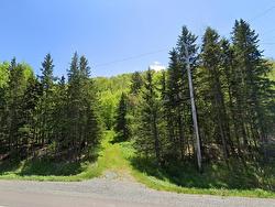 14266 Highway 4  Marshy Hope, NS B2G 2K8