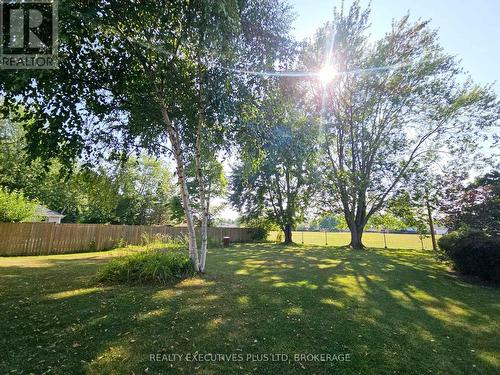 Backyard no rear neighborhood - 99 Carlton Avenue, Welland (N. Welland), ON - Outdoor