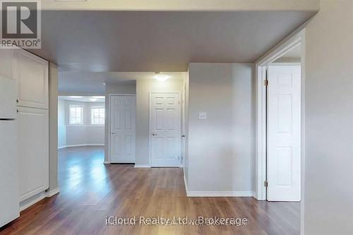 Lower - 229 Dunsmore Lane, Barrie, ON - Indoor Photo Showing Other Room