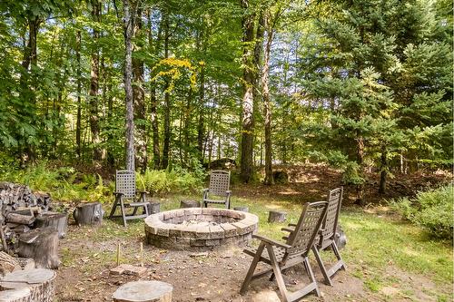 Cour - 123 Rue Du Domaine-Brome, Lac-Brome, QC - Outdoor