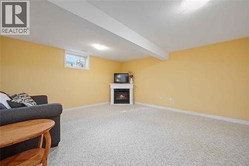 207 Cassandra Boulevard, Sarnia, ON - Indoor Photo Showing Basement With Fireplace