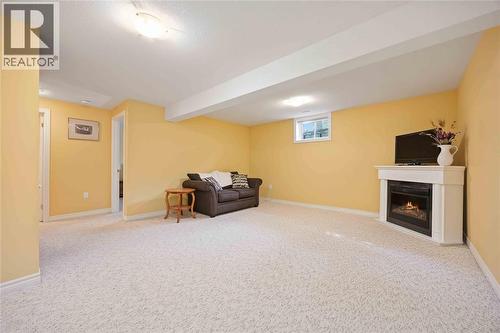 207 Cassandra Boulevard, Sarnia, ON - Indoor Photo Showing Basement