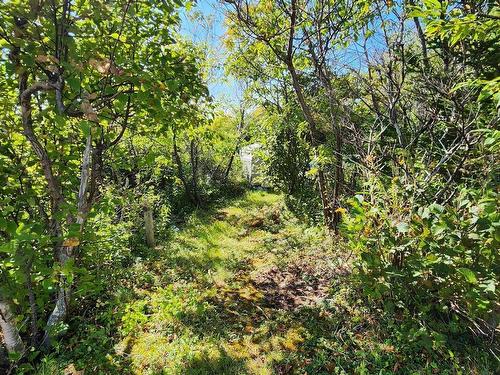 Dover Road, Little Dover, NS 